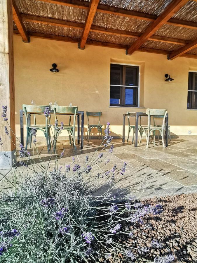 Agriturismo Casa Ricci มาลียาโน อิน ตอสกานา ภายนอก รูปภาพ