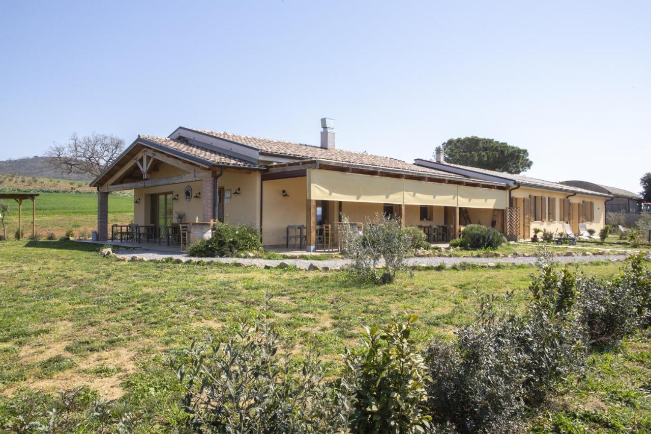 Agriturismo Casa Ricci มาลียาโน อิน ตอสกานา ภายนอก รูปภาพ