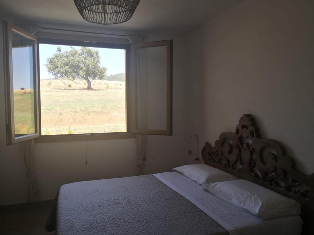 Agriturismo Casa Ricci มาลียาโน อิน ตอสกานา ภายนอก รูปภาพ